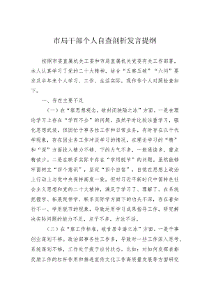市局干部个人自查剖析发言提纲.docx