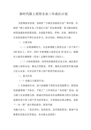 新时代限上商贸企业三年成长计划.docx