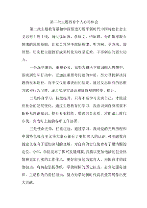 大型房地产公司党委书记学习《第二批主题教育》心得体会.docx