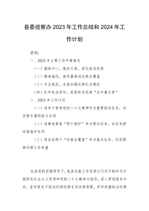 县委巡察办2023年工作总结和2024年工作计划.docx