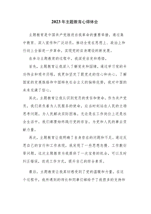 2023年主题教育心得体会.docx