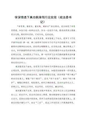 政法委书记在主题教育专题研讨会上的发言材料.docx