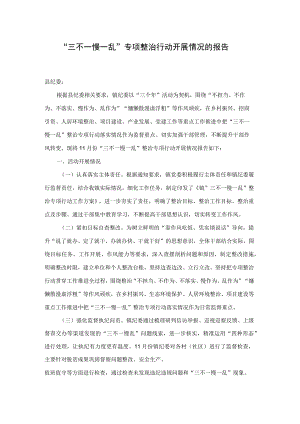 “三不一慢一乱”专项整治行动开展情况的报告.docx