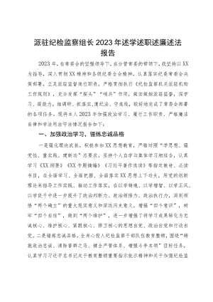 派驻纪检监察组长2023年述学述职述廉述法报告 .docx