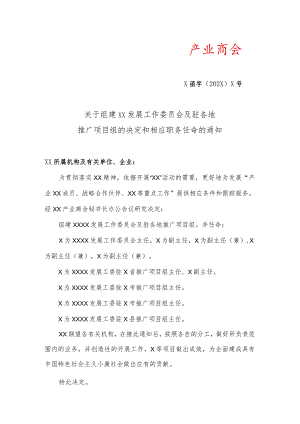 关于组建XX发展工作委员会及驻各地推广项目组的决定和相应职务任命的通知（2023年）.docx
