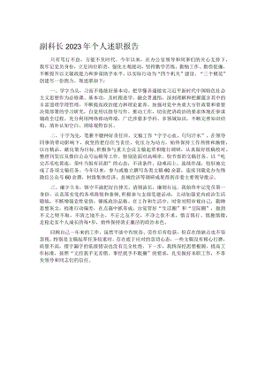 副科长2023年个人述职报告.docx