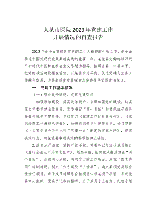 某某市医院2023年党建工作开展情况的自查报告.docx