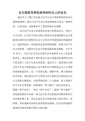 在主题教育典型案例剖析会上的发言（结合生态文明思想）.docx
