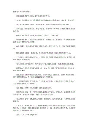 自备电厂成长的“烦恼”.docx