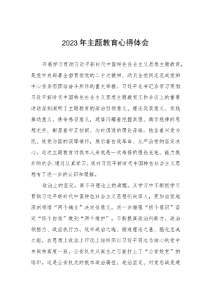 民警关于2023年主题教育学习心得体会（九篇）.docx
