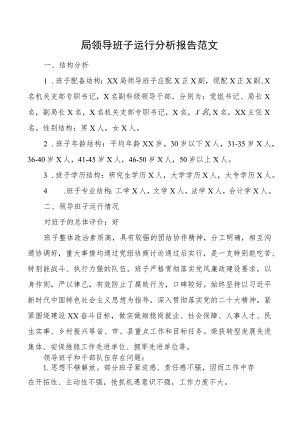 局领导班子运行分析报告汇报总结含成员评价表现.docx