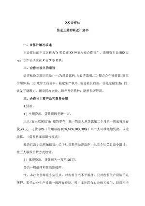 XX合作社资金互助部商业计划书（2023年）.docx