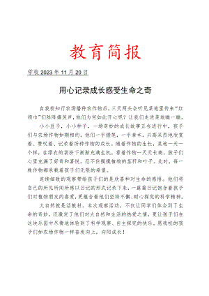 开展观察农场作物趣事活动简报.docx
