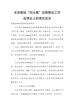 在巡察组“回头看”巡察整改工作反馈会上的表态发言.docx