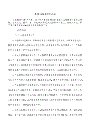 水利2023年工作总结.docx