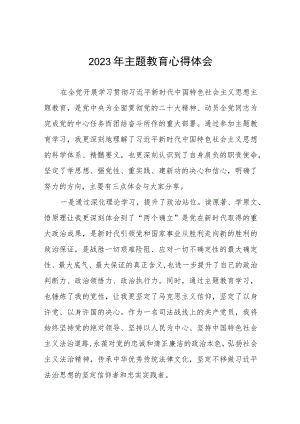 公安民警关于2023年主题教育学习心得体会（九篇）.docx