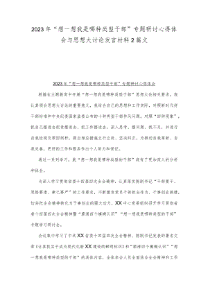 2023年“想一想我是哪种类型干部”专题研讨心得体会与思想大讨论发言材料2篇文.docx
