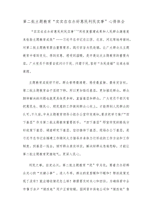 第二批主题教育“实实在在办好惠民利民实事”心得体会 .docx