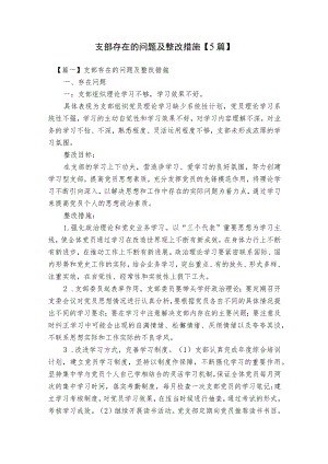 支部存在的问题及整改措施【5篇】.docx