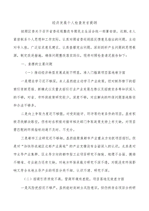 经济发展个人检查发言提纲.docx
