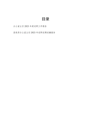 办公室主任2023年度个人述职工作报告和述职述德述廉报告.docx