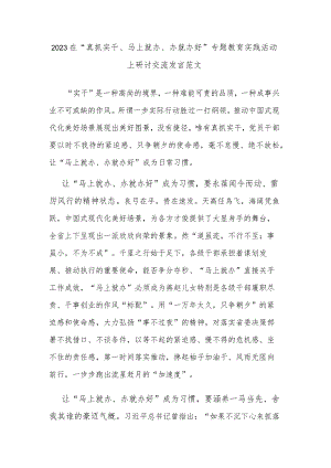 2023在“真抓实干、马上就办、办就办好”专题教育实践活动上研讨交流发言范文.docx