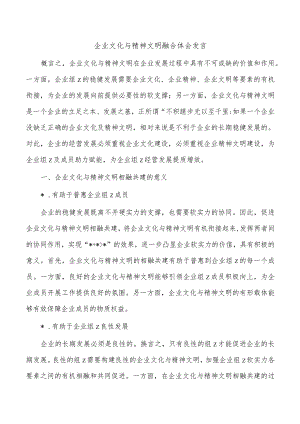 企业文化与精神文明融合体会发言.docx