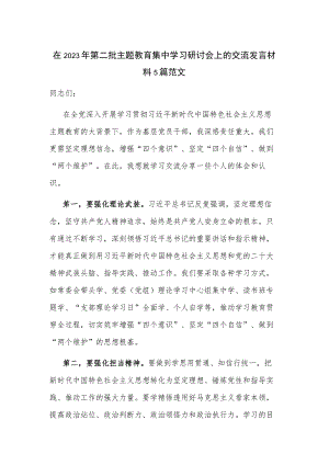 在2023年第二批主题教育集中学习研讨会上的交流发言材料5篇范文.docx