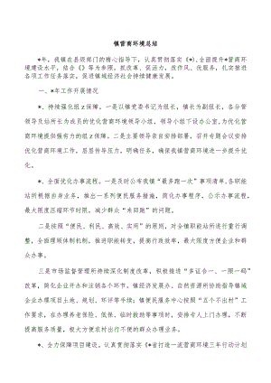 镇营商环境总结.docx