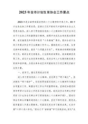 2023年全市计划生育协会工作要点.docx