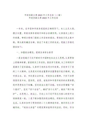 市政协副主席2023年工作总结.docx