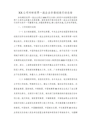 XX公司对标世界一流企业价值创造行动总结.docx