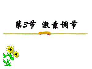 第3部分激素调部分名师编辑PPT课件.ppt