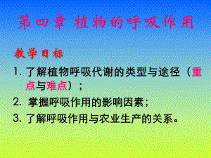 第4章植物的呼吸作用.ppt