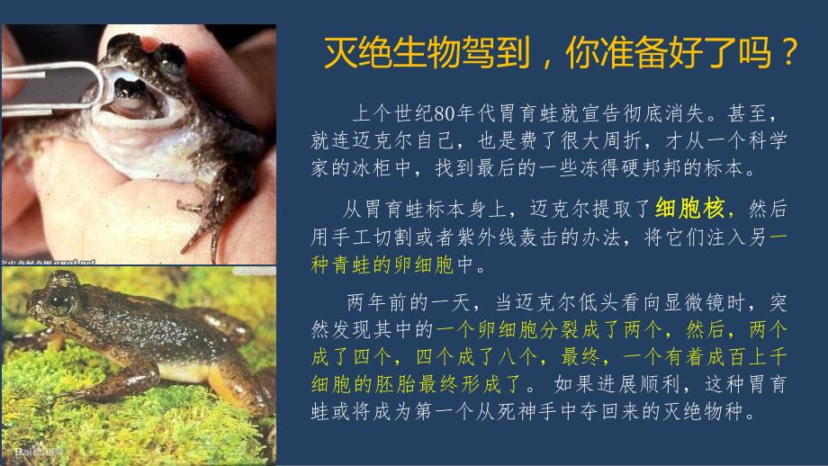 第3节细胞核.ppt_第2页