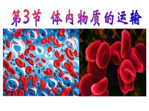 第3节体内物质的运输第一课时血液.ppt