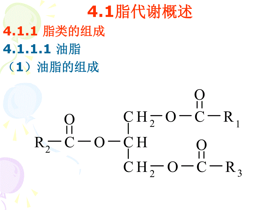 第4章脂代谢.ppt_第3页