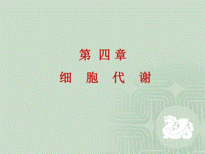 第4章细胞代谢.ppt