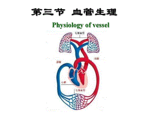 第4章第3节血管生理名师编辑PPT课件.ppt
