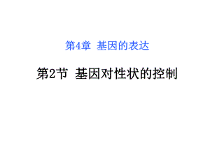 第4章基因的表达第2节基因对性状的控制名师编辑PPT课件.ppt