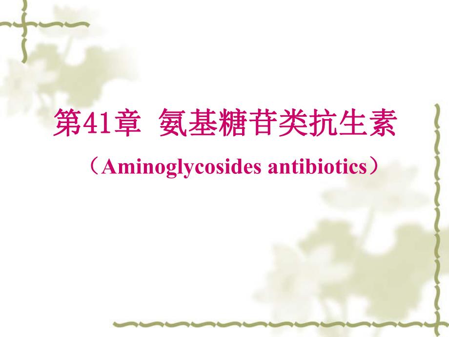 第41章氨基糖苷类抗生素崔.ppt_第1页