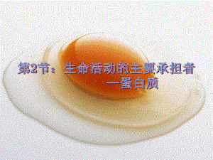 第3节：蛋白质.ppt