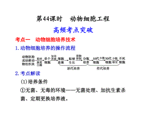 第44课时动物细胞工程.ppt