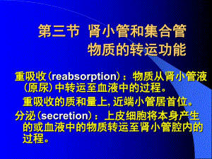 第3节肾小管和集合管物质的转运功能.ppt