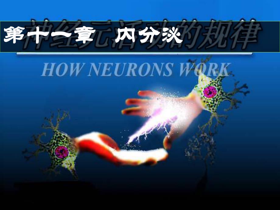 临本内分泌1.ppt_第1页