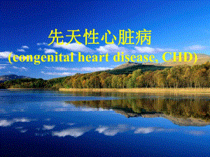 先天性心脏病.ppt