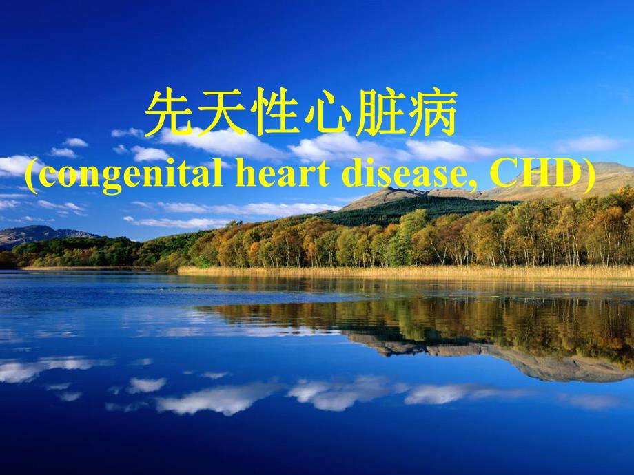 先天性心脏病.ppt_第1页
