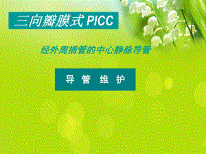 PICC导管维护经外周插管的中心静脉导管.ppt