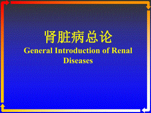 1肾脏总论.ppt