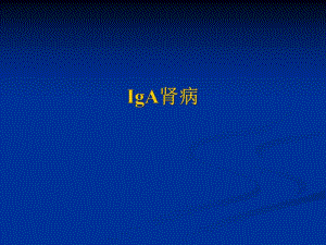 医学资料iga肾病新版.ppt